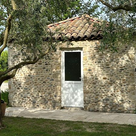 Maisonnette Independante Au Calme Dans Un Grand Jardin Châteauneuf-du-Rhône 외부 사진