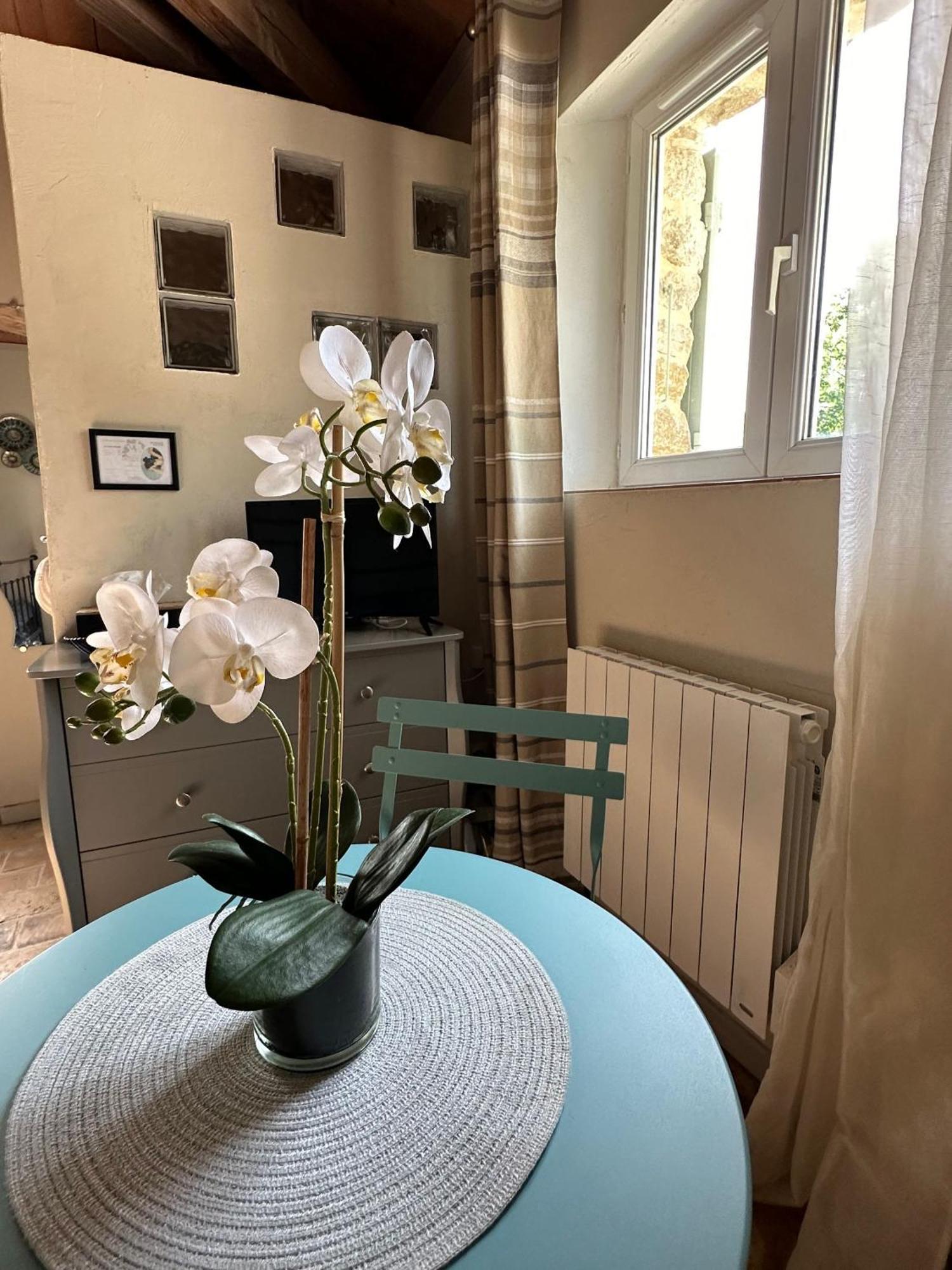 Maisonnette Independante Au Calme Dans Un Grand Jardin Châteauneuf-du-Rhône 외부 사진
