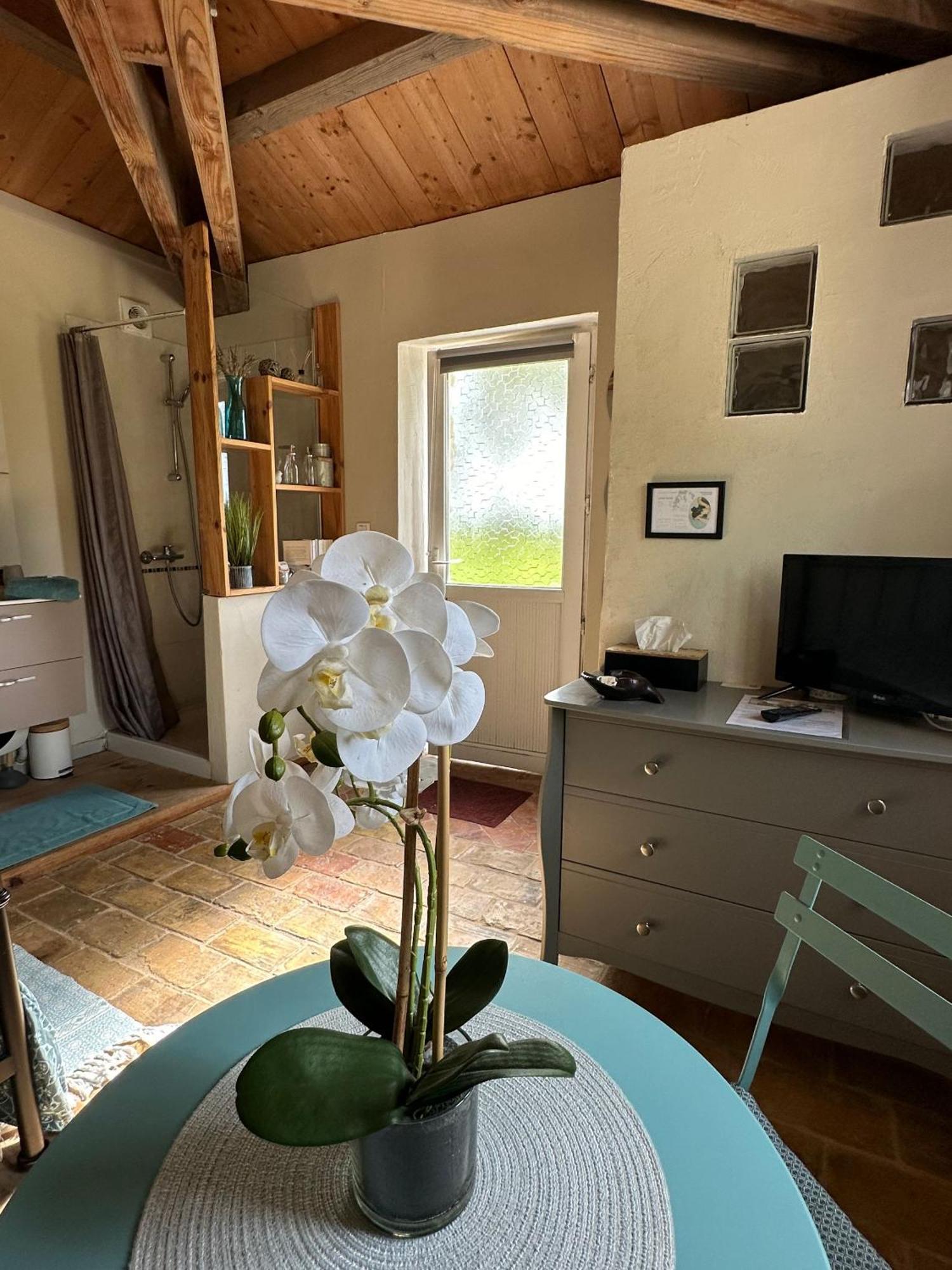 Maisonnette Independante Au Calme Dans Un Grand Jardin Châteauneuf-du-Rhône 외부 사진