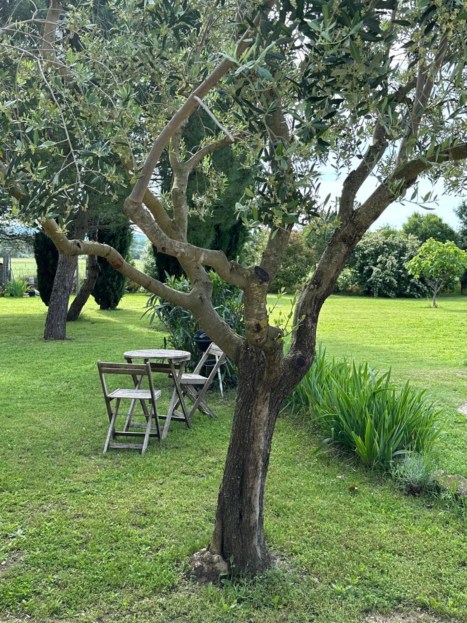 Maisonnette Independante Au Calme Dans Un Grand Jardin Châteauneuf-du-Rhône 외부 사진