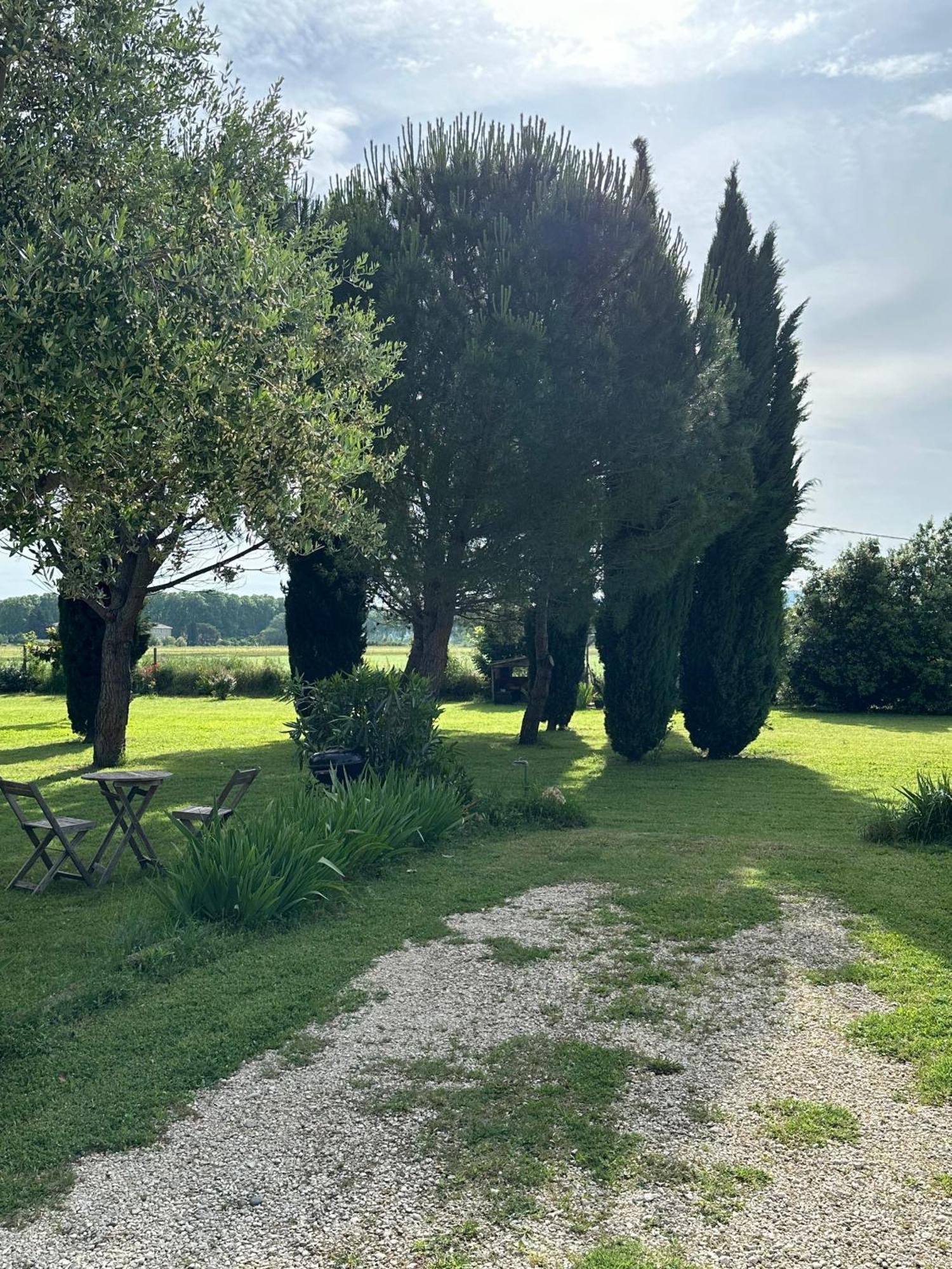 Maisonnette Independante Au Calme Dans Un Grand Jardin Châteauneuf-du-Rhône 외부 사진