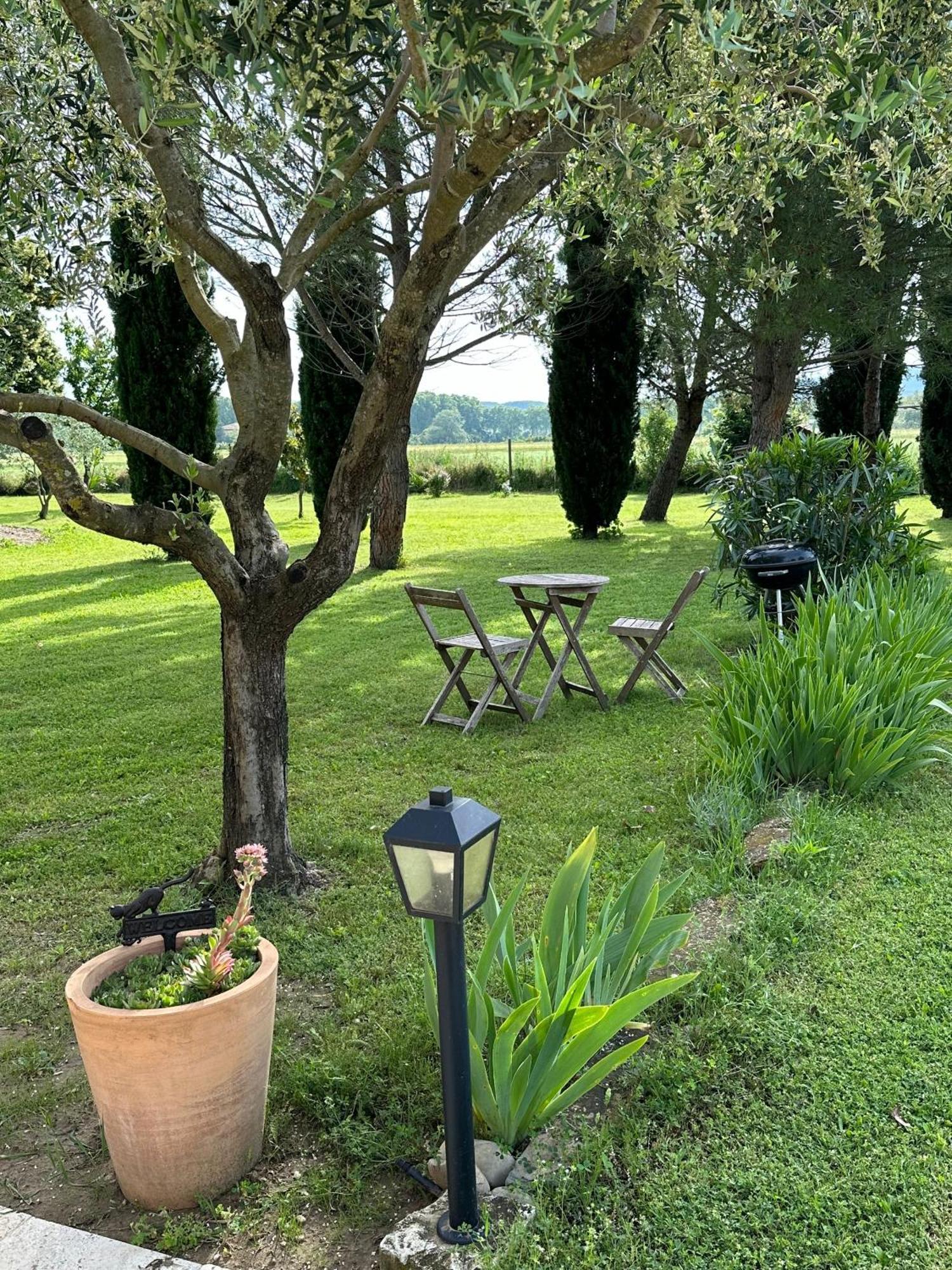 Maisonnette Independante Au Calme Dans Un Grand Jardin Châteauneuf-du-Rhône 외부 사진