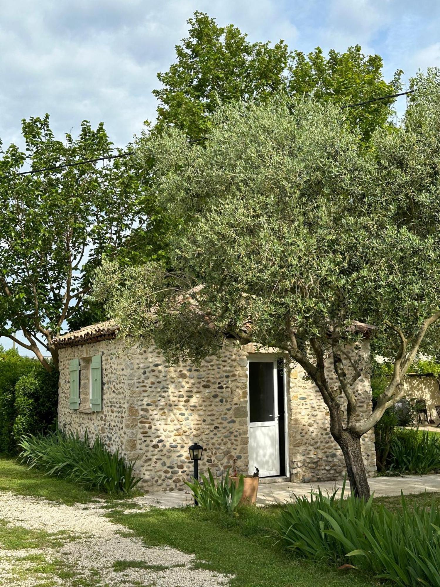 Maisonnette Independante Au Calme Dans Un Grand Jardin Châteauneuf-du-Rhône 외부 사진