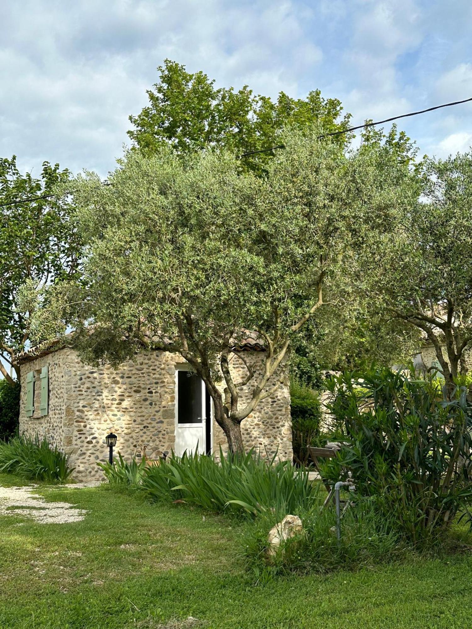 Maisonnette Independante Au Calme Dans Un Grand Jardin Châteauneuf-du-Rhône 외부 사진